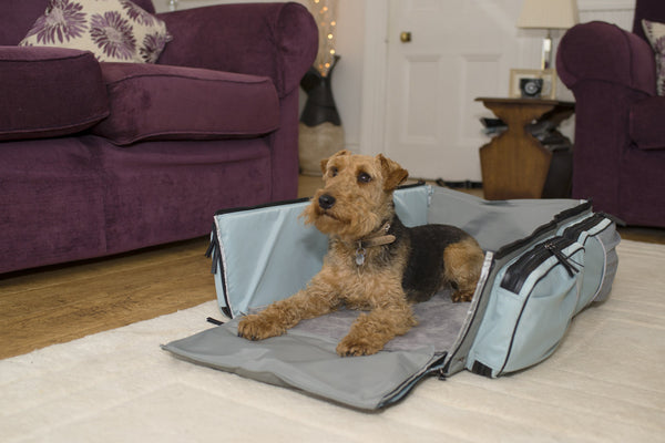 The Rovernighter - the one stop travel bag and pet bed